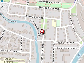 Carte de Levy Nicole à Strasbourg