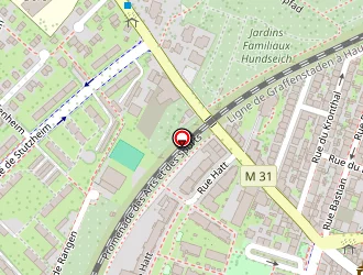 Carte de Foerster Brigitte à Strasbourg