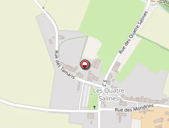 Carte de Mancheron Thierry à Roz-sur-couesnon