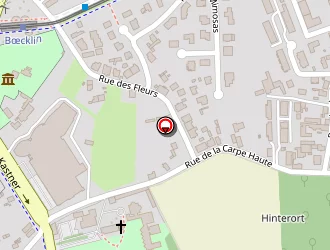 Carte de Thomas Emeline à Strasbourg