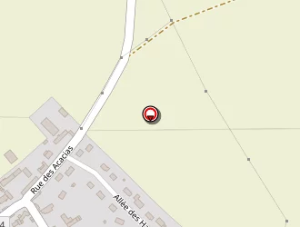 Carte de Super Pneus à Serazereux