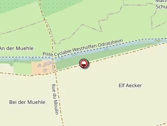 Carte de Berger Alfred à Traenheim