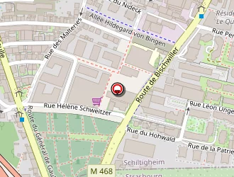 Carte de Coiff' Elo à Schiltigheim