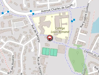 Carte de Brisson Mélanie à Savigny-le-temple