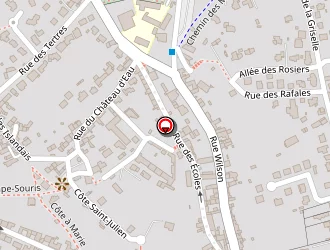 Carte de Fleur De Peau à Binic