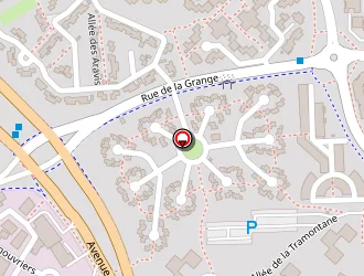 Carte de Candusso Cédric à Savigny-le-temple