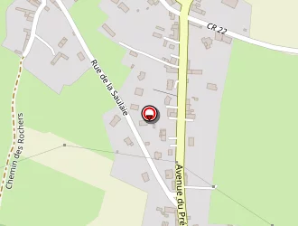 Carte de Choisnet Sylvain à Ferté-macé (la)