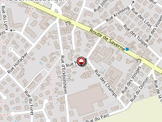 Carte de Najjar Georges à Oberhausbergen