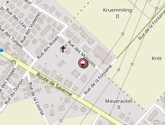 Carte de Mspi - Elvis Pc à Oberhausbergen