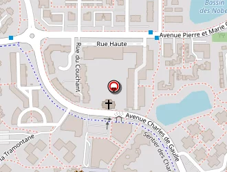 Carte de La Poste à Savigny-le-temple