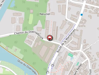 Carte de Moog-weiss Clémence à Strasbourg