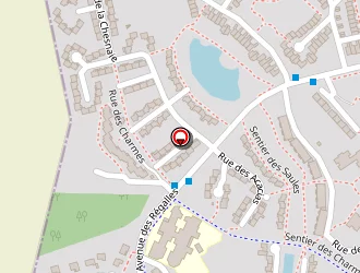 Carte de Mazouzi Malik à Savigny-le-temple