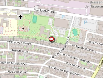 Carte de Bucher Damien à Schiltigheim