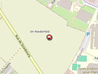 Carte de Mcdonald's à Oberhausbergen