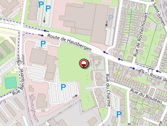 Carte de Bergmiller Bruno à Strasbourg