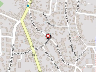 Carte de Hess Traduction à Strasbourg