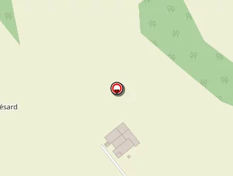 Carte de Dejaiffe Camille à Tréveray