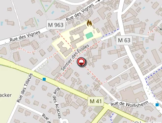 Carte de Biegle Alain à Oberhausbergen