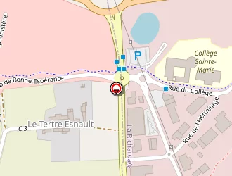 Carte de C.anstett à Richardais (la)