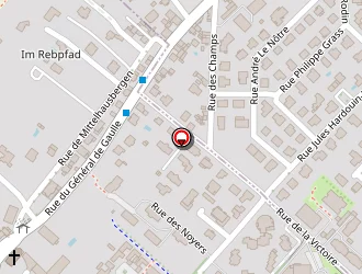 Carte de Goetz Michel à Oberhausbergen