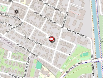 Carte de Godel Jean-michel à Schiltigheim