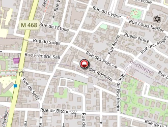 Carte de Pro Auto Services à Schiltigheim