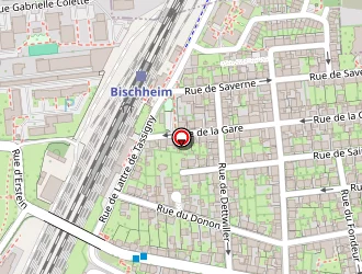 Carte de Massy Fabienne à Schiltigheim