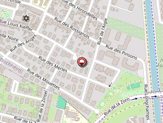 Carte de Diar Mohamed à Bischheim