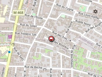 Carte de Heilmann Jonathan à Schiltigheim