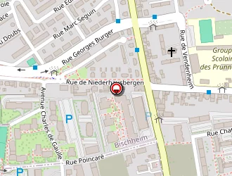 Carte de Europe Technique à Schiltigheim