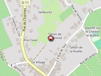 Carte de Mairie à Mont (le)