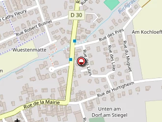 Carte de Smith Roch (eirl) à Furdenheim