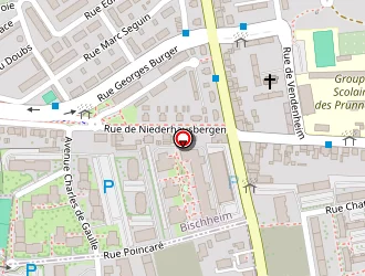 Carte de Kahla Mehdi à Bischheim