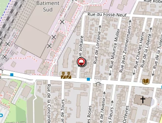 Carte de Rosenzweig Sophie à Bischheim