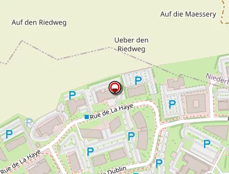 Carte de Cali'pro à Schiltigheim