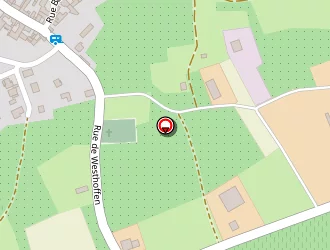 Carte de Letzgus Vincent à Wangen