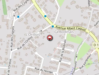 Carte de Langlais Et Le Comte à Richardais (la)