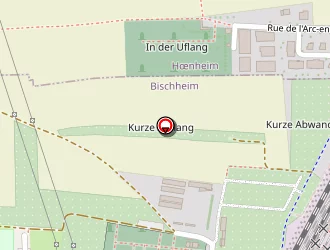 Carte de Roos Francis à Schiltigheim