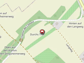 Carte de Huck Brigitte à Mittelhausbergen