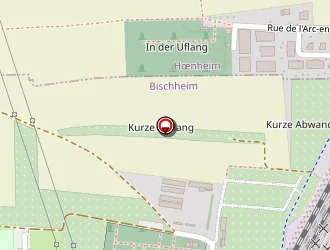 Carte de Boboeuf Michael à Bischheim