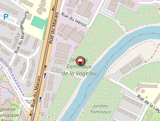 Carte de Hamani Hamid à Strasbourg