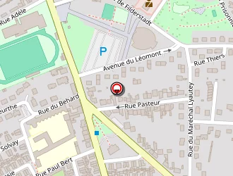 Carte de Te Babushi à Dombasle-sur-meurthe