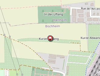 Carte de Moritz François à Bischheim