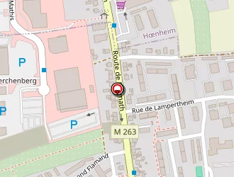 Carte de Ohlmann Michel à Bischheim