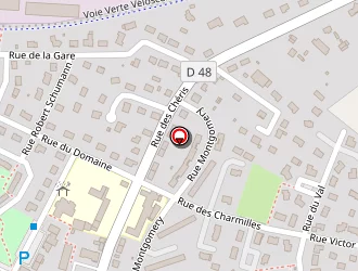 Carte de Feys Et Leroux (scp) à Ducey