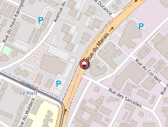 Carte de Meyer Ledermann Caroline à Schiltigheim