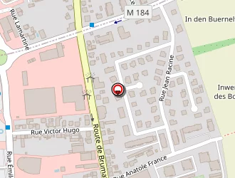 Carte de Bach Samuel à Hœnheim