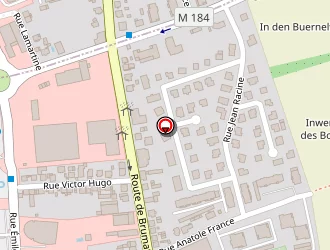 Carte de Antunes Michaël à Hœnheim