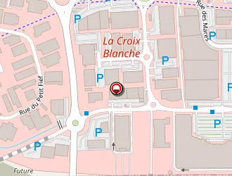 Carte de Tlmc à Sainte-geneviève-des-bois