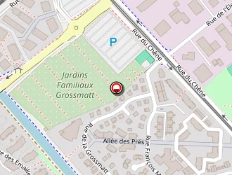 Carte de Salmanli Altan à Hœnheim